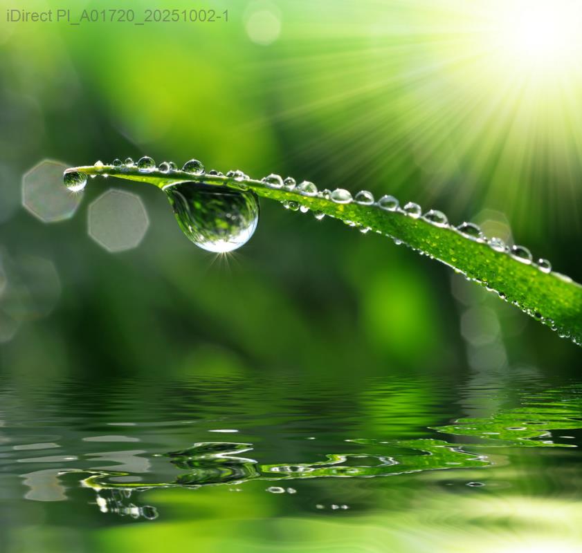 探索台灣永續生活：五大產品設計風格深度比較從生態到美學：台灣永續生活產品設計風格全面解析